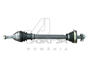 ASAM 30210 kardaninis velenas 
 Ratų pavara -> Kardaninis velenas
6001547028