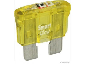HERTH+BUSS ELPARTS 50295820066 saugiklis