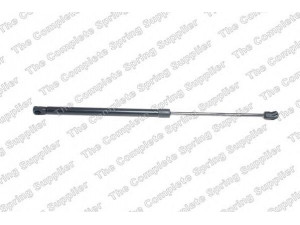 ROC GS1642 dujinė spyruoklė, bagažinė 
 Priedai -> Bagažinė/pakrovimo skyrius
2049800764