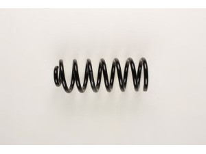 BILSTEIN 36-160402 spyruoklė 
 Pakaba -> Spyruoklės
4D0 511 115 AC, 4D0 511 115 AD