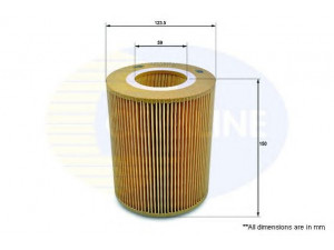 COMLINE EAF070 oro filtras 
 Techninės priežiūros dalys -> Techninės priežiūros intervalai
166 094 00 04, 01EFA147, PC1076