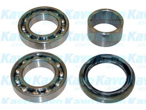 KAVO PARTS WBK-8503 rato guolio komplektas 
 Ašies montavimas/vairavimo mechanizmas/ratai -> Rato stebulė/montavimas -> Rato guolis
0812360077, 0918035005, 0926235012