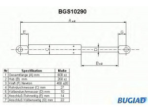 BUGIAD BGS10290 dujinė spyruoklė, bagažinė 
 Priedai -> Bagažinė/pakrovimo skyrius
7920062656, 8731.43