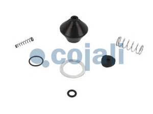 COJALI 6012292 remonto komplektas
0692328, 273667