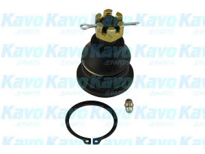 KAVO PARTS SBJ-5515 atramos/vairo trauklė
MB518283, MB52715701, MB52716101
