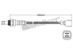 WALKER PRODUCTS 250-24532 lambda jutiklis 
 Variklis -> Variklio elektra
8946505020