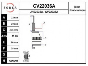 EAI CV22036AK jungčių komplektas, kardaninis velenas 
 Ratų pavara -> Sujungimai/komplektas