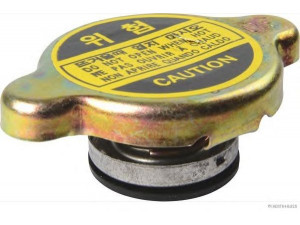MAGNETI MARELLI 600000047960 radiatoriaus dangtelis
0K30A-15-205, 0K30A-15-205, 0K30A-15-205DS