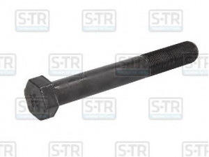 S-TR STR-50359 lingės varžtas 
 Pakaba -> Lakštinė spyruoklinė pakaba
308765024011, 06.02839.0015