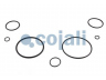 COJALI 6014417 remonto komplektas, greitinimo vožtuvas
392187