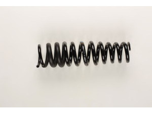 BILSTEIN 36-202126 spyruoklė 
 Pakaba -> Spyruoklės
163 320 18 13