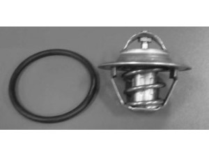 BUGIAD BSP20369 termostatas, aušinimo skystis 
 Aušinimo sistema -> Termostatas/tarpiklis -> Thermostat
050 121 113 C