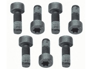 SACHS 1874 000 040 varžtų komplektas, smagratis
30680646