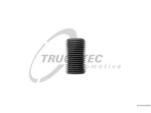 TRUCKTEC AUTOMOTIVE 01.41.003 žarna, oro tiekimas
381 528 0191