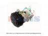 AKS DASIS 850554N kompresorius, oro kondicionierius
110073145, 11058974