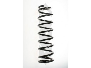 SPIDAN 49200 spyruoklė 
 Pakaba -> Spyruoklės
52441-SR3-N02