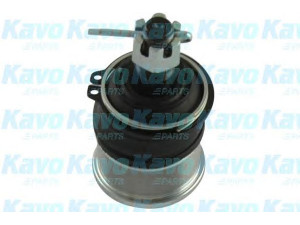 KAVO PARTS SBJ-2004 atramos/vairo trauklė 
 Ašies montavimas/vairavimo mechanizmas/ratai -> Sujungimai -> Atramos/vairo trauklė
51220SB0003, 51220SB0023, 51220SE0000