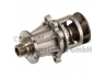 vandens siurblys