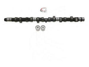 CAMPRO CP60209 skirstomojo veleno komplektas 
 Variklis -> Variklio uždegimo laiko reguliavimo kontrolė -> Skirstomasis velenas
075 109 101 A