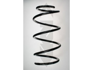 SPIDAN 55079 spyruoklė 
 Pakaba -> Spyruoklės
31 33 1 093 067