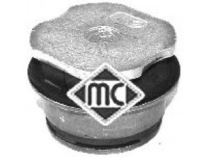 Metalcaucho 04372 stebulės laikiklio įvorė 
 Ašies montavimas/vairavimo mechanizmas/ratai -> Ašies atrama/ašies korpusas/ašies montavimas -> Pasukamojo veleno sujungimas
7756218