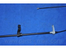 PARTS-MALL PTB-243 trosas, stovėjimo stabdys
0K58A44410, K58A44410