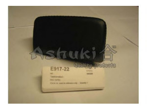 ASHUKI E917-22 remonto komplektas, pagrindinis stabdžių cilindras
271131, 272602