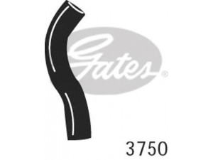 GATES 3750 radiatoriaus žarna
357121051K