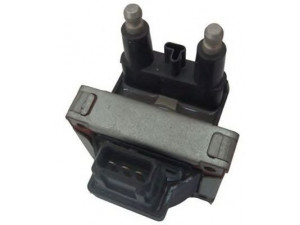 MAGNETI MARELLI 060717070012 ritė, uždegimas 
 Kibirkšties / kaitinamasis uždegimas -> Uždegimo ritė
7700854306