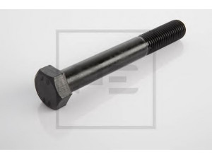PE Automotive 044.006-00A varžtas
02.5023.10.80