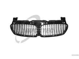 TRUCKTEC AUTOMOTIVE 08.62.209 radiatorius grotelės
51 13 7 145 738