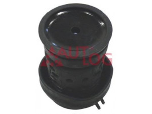 AUTLOG FT2083 variklio montavimas 
 Variklis -> Variklio montavimas -> Variklio montavimo rėmas
1H0199609E