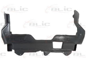 BLIC 6601-02-2935860P variklio dangtis 
 Variklis -> Variklio dangtis