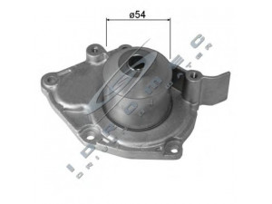 CAR 332423 vandens siurblys 
 Aušinimo sistema -> Vandens siurblys/tarpiklis -> Vandens siurblys
MW30620725, 2101000QAC, 7701472182