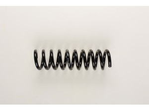 BILSTEIN 36-129683 spyruoklė 
 Pakaba -> Spyruoklės
210 324 18 04