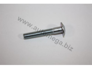 AUTOMEGA 1006360648 varžtas, įtempiklio skriemulys 
 Diržinė pavara -> Priedai/dalys
0636648, 636648, 24447883