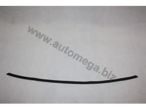 AUTOMEGA 3001630864 apdailos/apsauginės juostelės, priekinis stiklas 
 Kėbulas -> Apdaila/apsauga/dekoratyvinės juostelės/emblemos -> Apdailos/apsauginės juostelės
0163864, 163864, 0163864, 163864