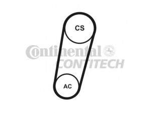 CONTITECH 5PK705 ELAST T1 V formos rumbuotas diržas, komplektas 
 Techninės priežiūros dalys -> Techninės priežiūros intervalai
1346034, 3M5Q-6C301-CB, 3M5Q-6D314-CB