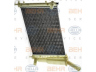 HELLA 8MK 376 900-101 radiatorius, variklio aušinimas 
 Aušinimo sistema -> Radiatorius/alyvos aušintuvas -> Radiatorius/dalys
51724183