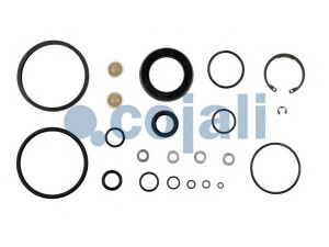COJALI 6012092 remonto komplektas