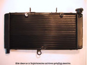 AKS DASIS 500190N radiatorius, variklio aušinimas