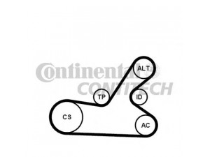 CONTITECH 6PK1145K4 V formos rumbuotas diržas, komplektas 
 Techninės priežiūros dalys -> Techninės priežiūros intervalai
5750.PC, 5750.VV, 5751.91, 5750.GW