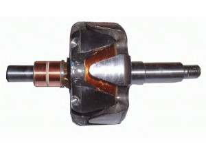 DELCO REMY 10477863 rotorius, kintamosios srovės generatorius