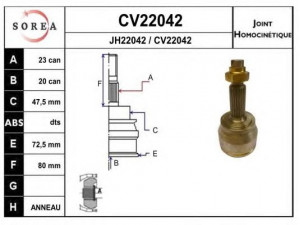 EAI CV22042K jungčių komplektas, kardaninis velenas 
 Ratų pavara -> Sujungimai/komplektas