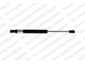 ROC GS1209 dujinė spyruoklė, bagažinė 
 Priedai -> Bagažinė/pakrovimo skyrius
9485706