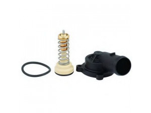 FISPA 94.620K termostatas, aušinimo skystis 
 Aušinimo sistema -> Termostatas/tarpiklis -> Thermostat
03C121110G, 03C121110G, 03C121110G