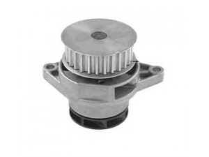 MAGNETI MARELLI 352316171189 vandens siurblys 
 Aušinimo sistema -> Vandens siurblys/tarpiklis -> Vandens siurblys
036121005F, 036121005P, 036121005PX
