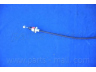 PARTS-MALL PTA-590 akceleratoriaus trosas
3274043240