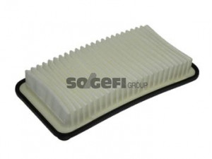 PURFLUX A1137 oro filtras 
 Techninės priežiūros dalys -> Techninės priežiūros intervalai
J1322099, 178010G010, 1780127020