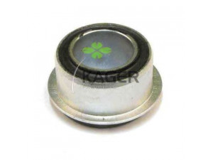 KAGER 86-0501 valdymo svirties/išilginių svirčių įvorė 
 Ašies montavimas/vairavimo mechanizmas/ratai -> Valdymo svirtis/pasukamosios svirties sujungimas -> Montavimas/sutvirtinimas
1391348